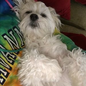 Meet your Posher, Alyssia